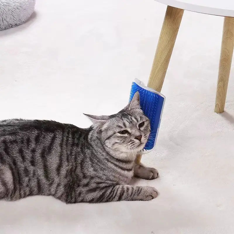 Massage-Tool für Katzen – zur Fellentfernung und Massage